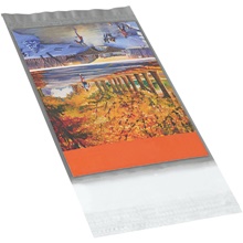 1000-4.75 x 6.5" Clear View Poly Mailers