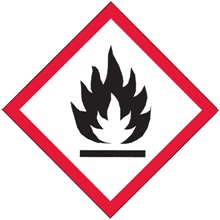 2 x 2" Pictogram - Flame Labels