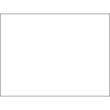 3 x 4" White Inventory Rectangle Labels