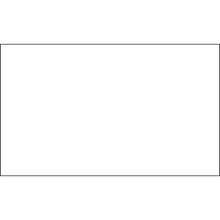 3 x 9" White Inventory Rectangle Labels