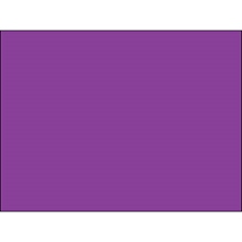 5 x 7" Purple Inventory Rectangle Labels