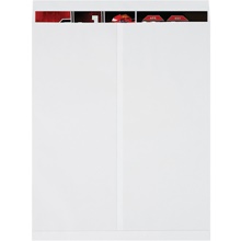 100-22 x 27" White Jumbo Envelopes