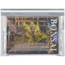 250-9 1/2 x 12 3/4" Translucent Silver Glamour Mailers