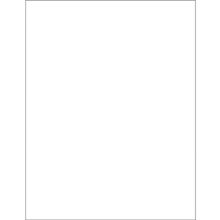 8 1/2 x 11" Weather-Resistant Laser Labels-1 Label per Sheet