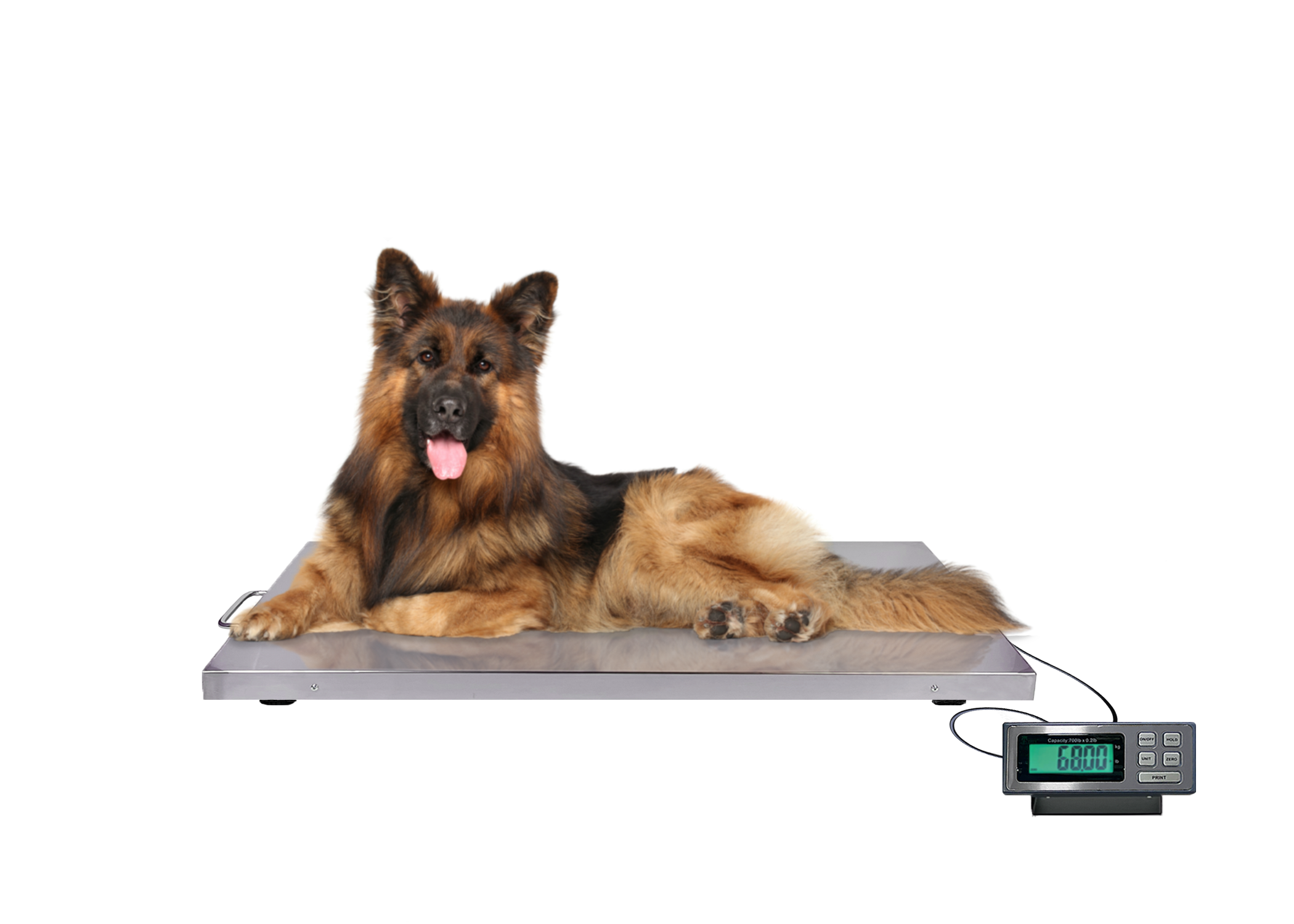 Veterinary Scales - 700 lb x 0.2lb