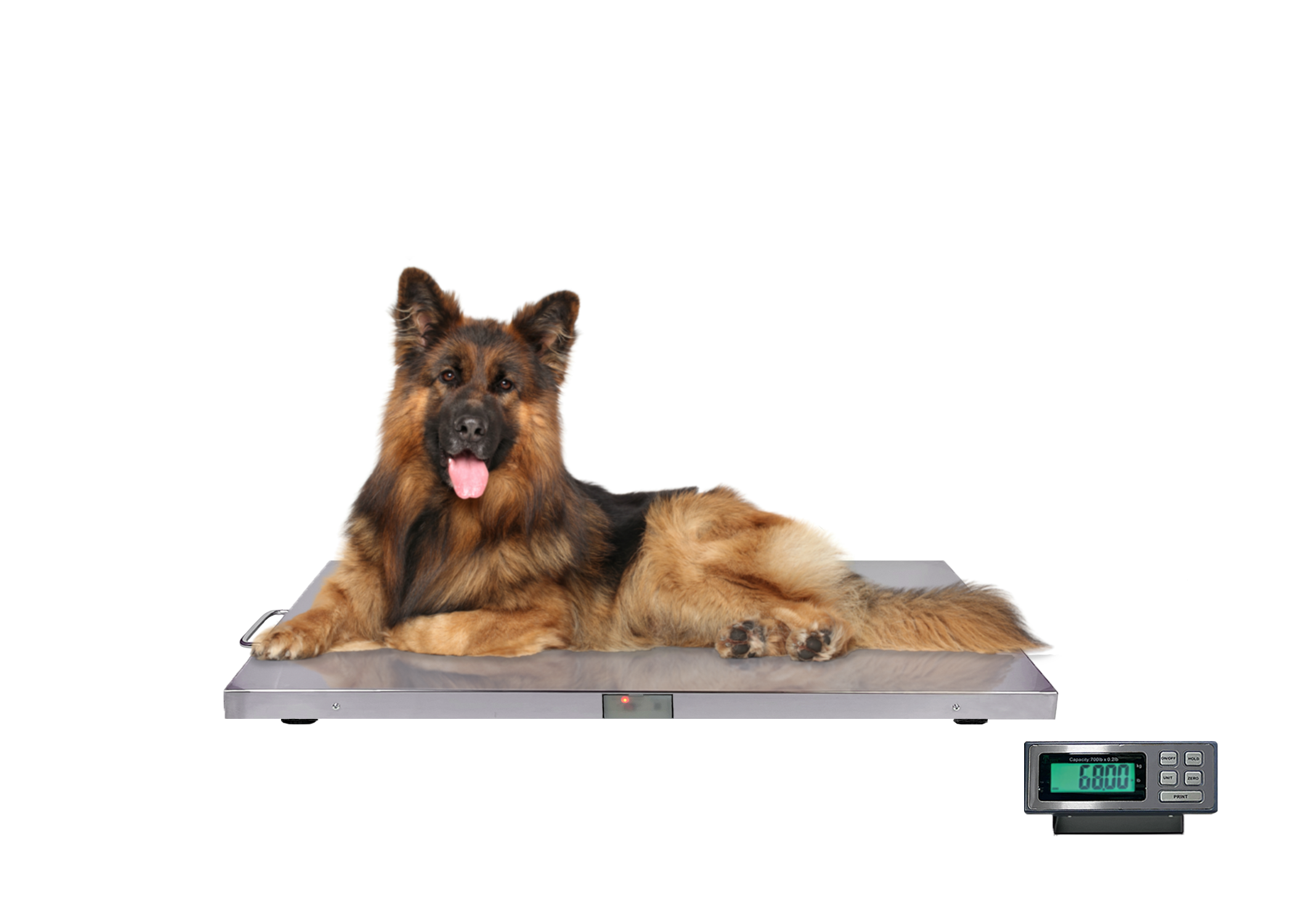 Veterinary Scales Plus - 700 lb x 0.2lb