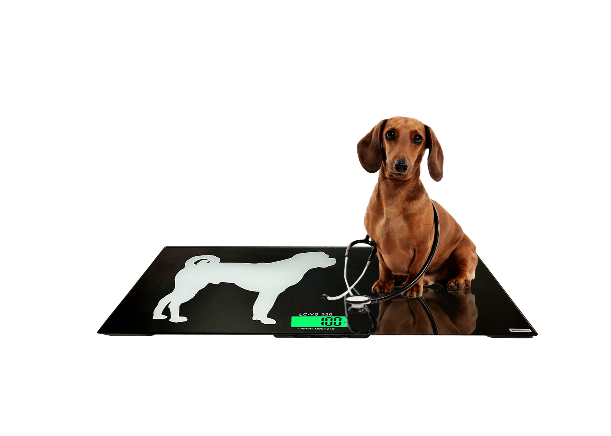 Veterinary Scales - 300 lb x 0.1lb